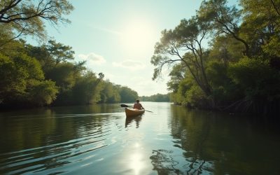 Amazing kayak tour of Oleta River Miami